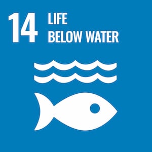 SDG numéro 14: life below water